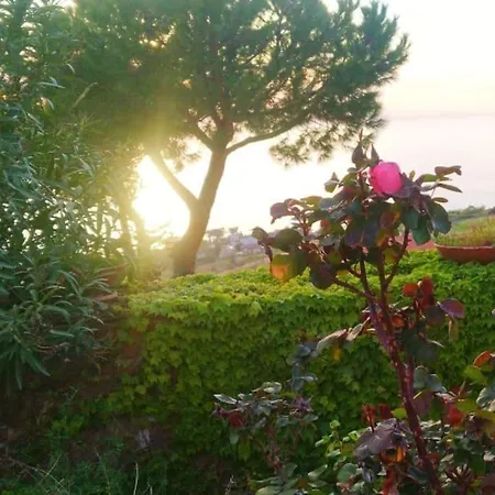 Casa Del Sol *